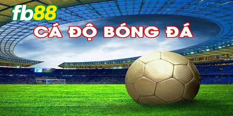 Hướng dẫn lên kèo độ cho chủ đề bóng đá FB88