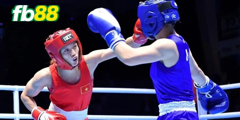 Giải vô địch Boxing thế giới quy tụ nhiều võ sĩ xuất sắc