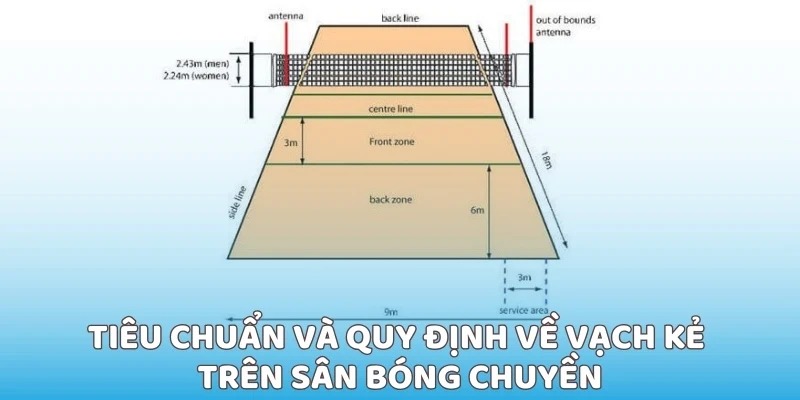 Tiêu chuẩn và quy định về vạch kẻ trên sân bóng chuyền