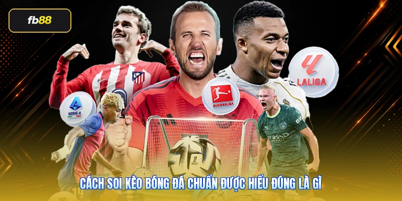 Cách soi kèo bóng đá chuẩn được hiểu đúng là gì