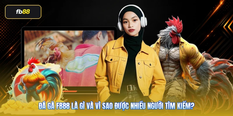 Đá gà FB88 là gì và vì sao được nhiều người tìm kiếm?