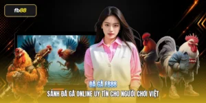 Đá Gà FB88 – Sảnh Đá Gà Online Uy Tín Cho Người Chơi Việt