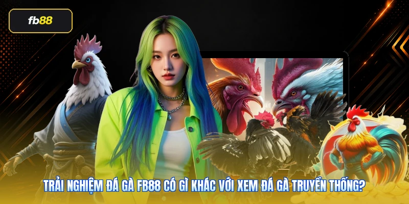 Trải nghiệm đá gà FB88 có gì khác với xem đá gà truyền thống?