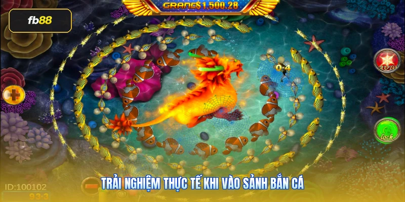 Trải nghiệm thực tế khi vào sảnh bắn cá