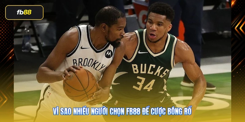 Vì sao nhiều người chọn FB88 để cược bóng rổ
